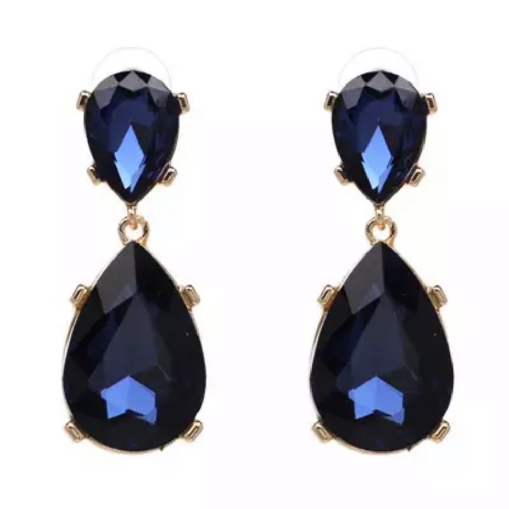 Navy blue Earrings